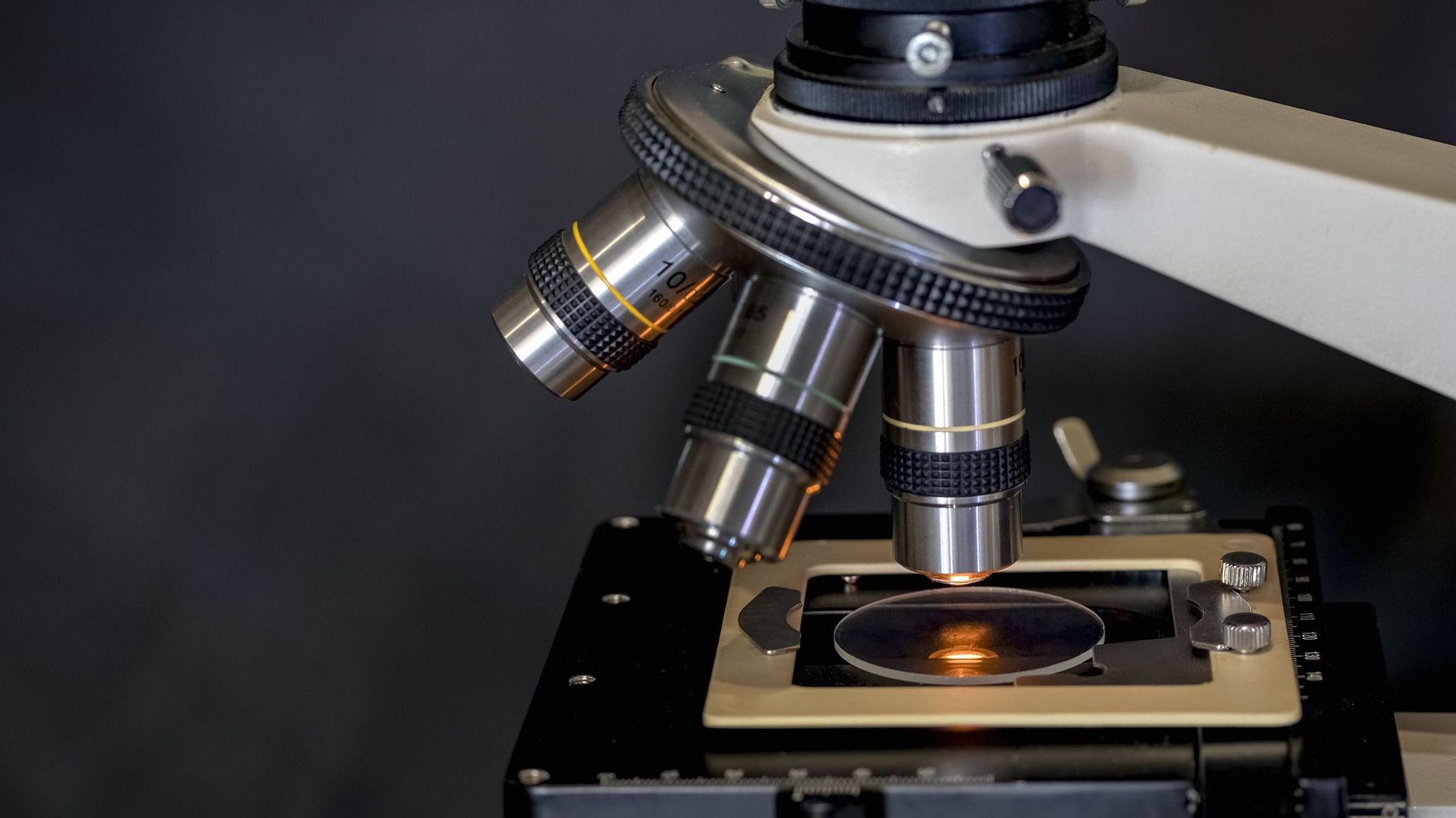 Russian Scientists Develop Smart Fluid That Switches From Soft to Hard