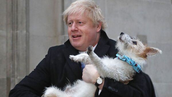 Britain's Prime Minister and Conservative Party leader Boris Johnson holds his dog Dilyn as he leaves after voting in the general election at Methodist Central Hall, Westminster, London, 12 December 2019 - Sputnik International