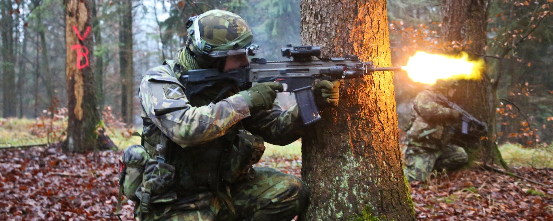 Czech Soldier engaging Czech Soldier engaging - Sputnik International, 1920, 20.11.2024