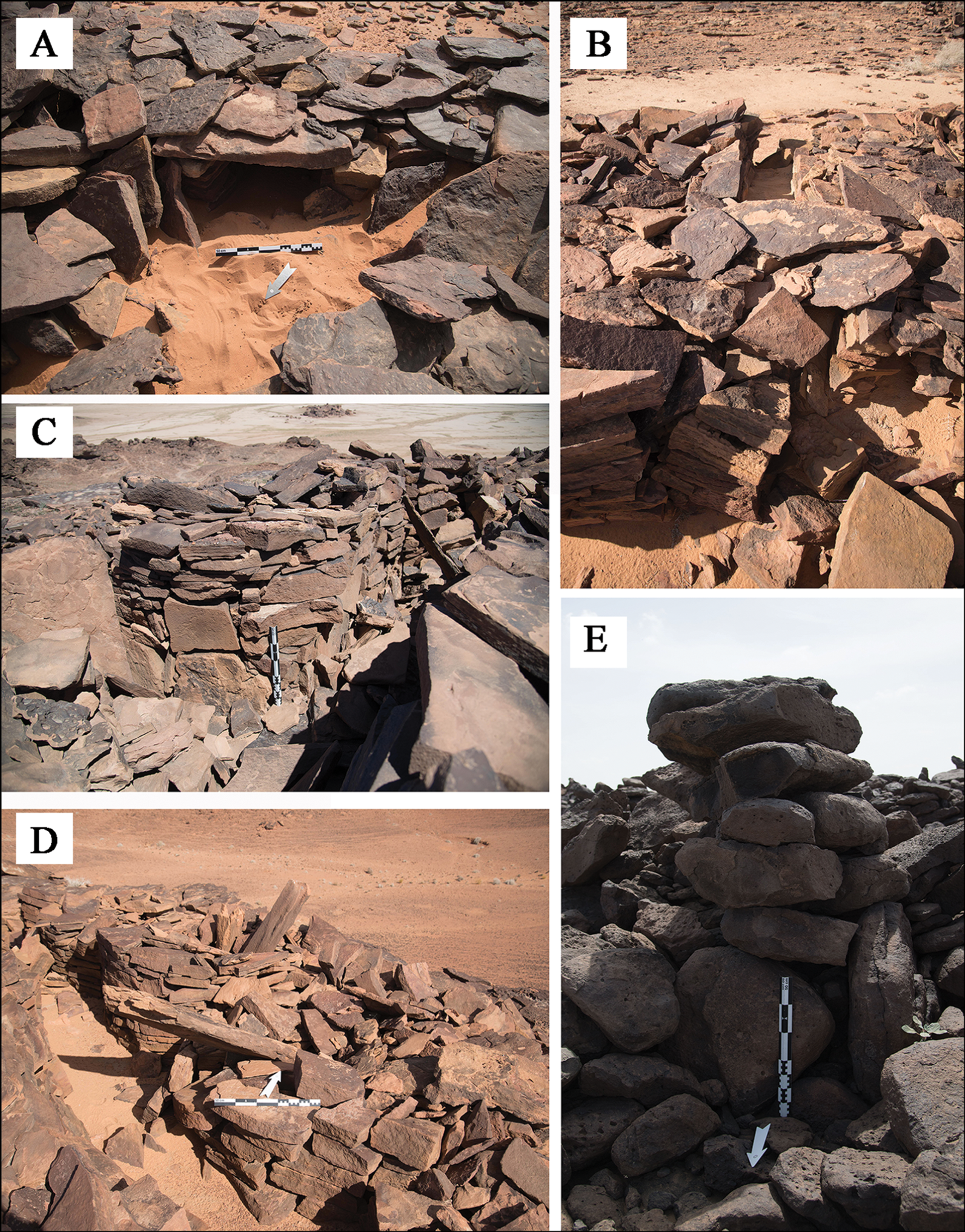 7,000-Year-Old Structures in Saudi Desert Show 'Earliest Evidence for Cattle Cult', Scientists Say - Sputnik International, 1920, 01.05.2021
