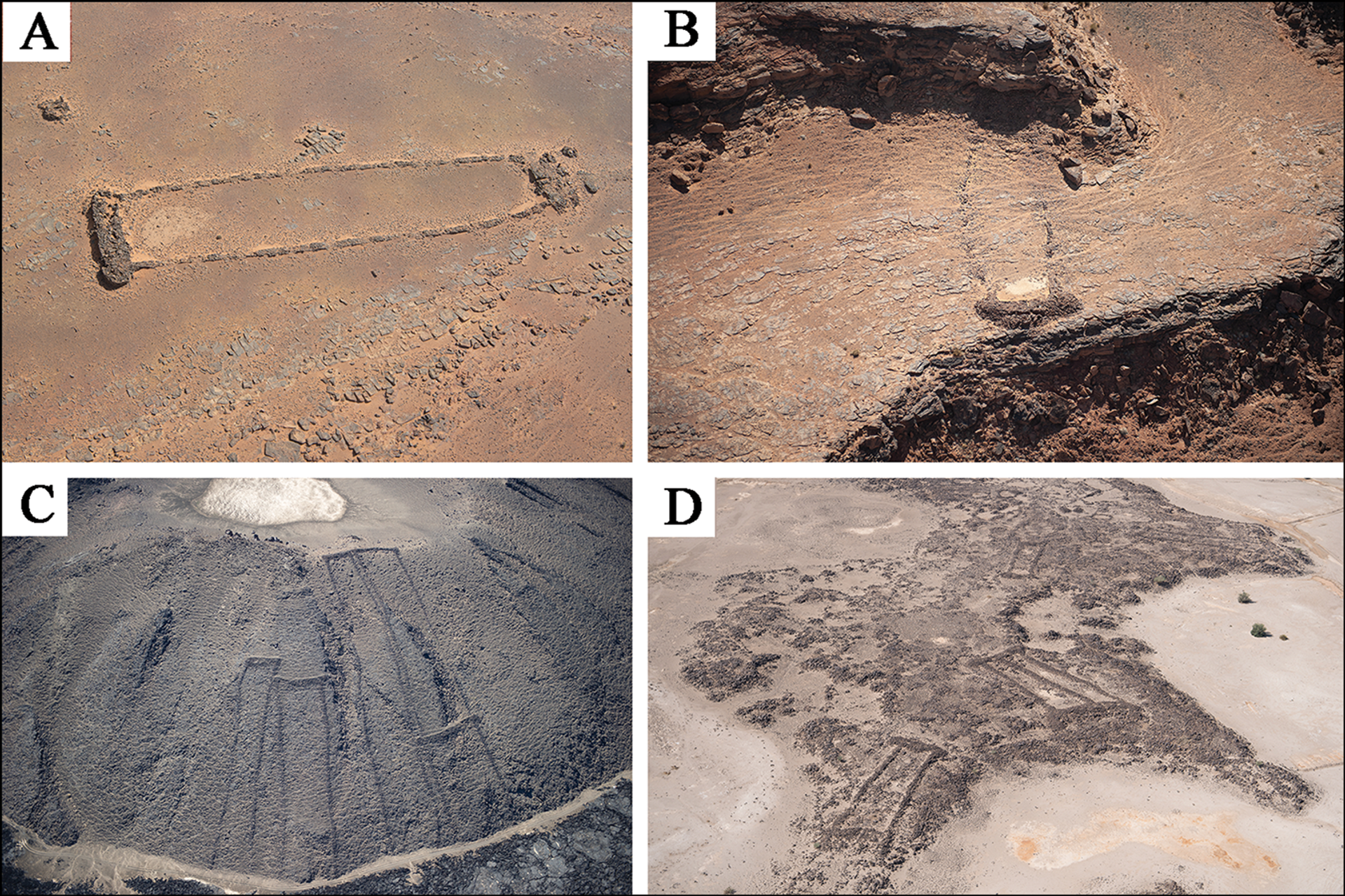 7,000-Year-Old Structures in Saudi Desert Show 'Earliest Evidence for Cattle Cult', Scientists Say - Sputnik International, 1920, 01.05.2021