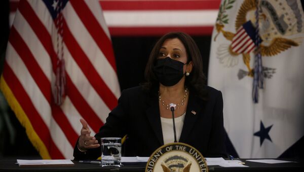 U.S. Vice President Kamala Harris takes part in a round table discussion about the economy as part of a promotion trip for the administration’s job’s plan in the Innovation Hub at the University of Cincinnati, in Cincinnati, Ohio, U.S. April 30, 2021. - Sputnik International