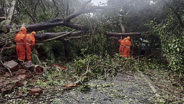 This handout photo released on May 16, 2021 by the National Disaster Response Force (NDRF) shows National Disaster Response Force (NDRF) personnel clearing fallen trees from a road following severe cyclonic storm 'Tauktae' at Margao in Goa - Sputnik International