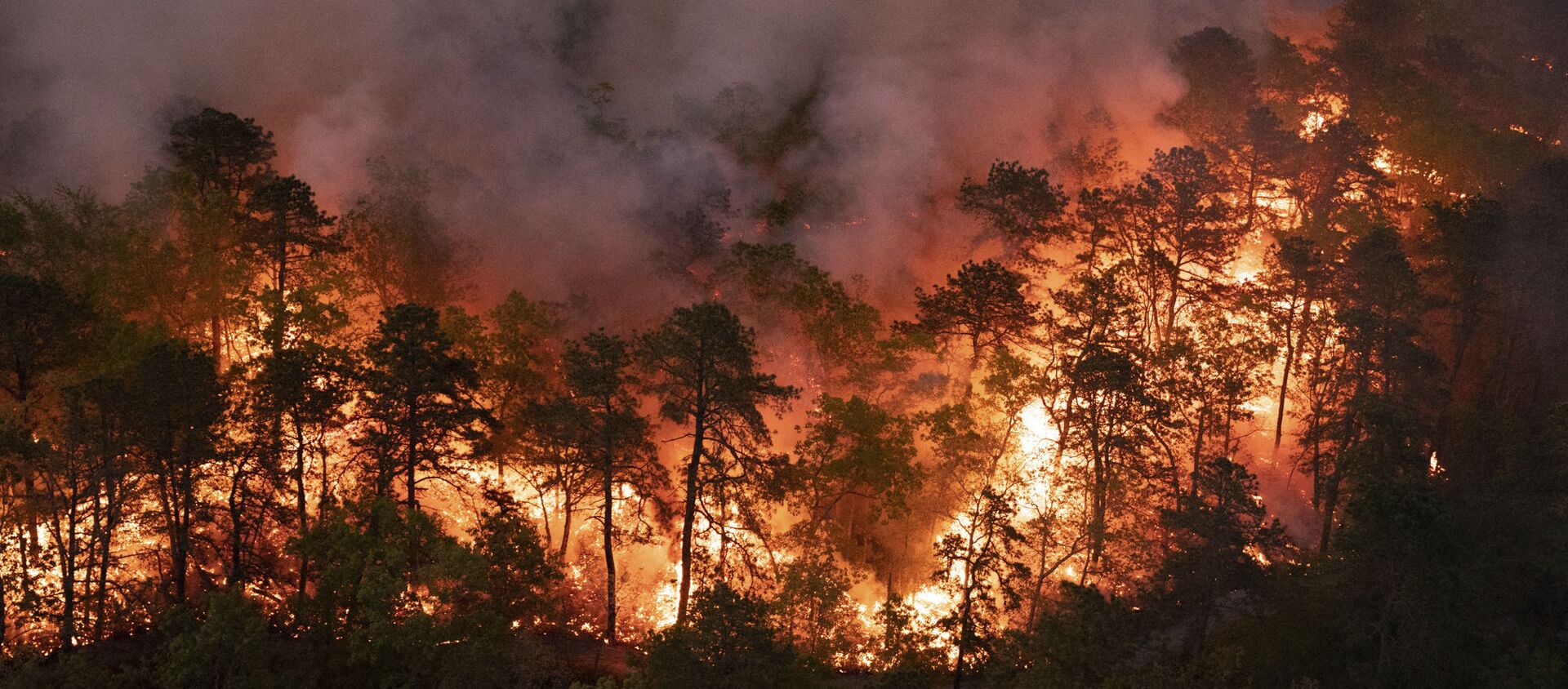 In this photo provided by New Jersey Department of Environmental Protection, a forest fire burns in Little Egg Harbor Township, N.J., on Sunday, May 16, 2021. ( New Jersey Department of Environmental Protection via AP) - Sputnik International, 1920, 07.07.2021