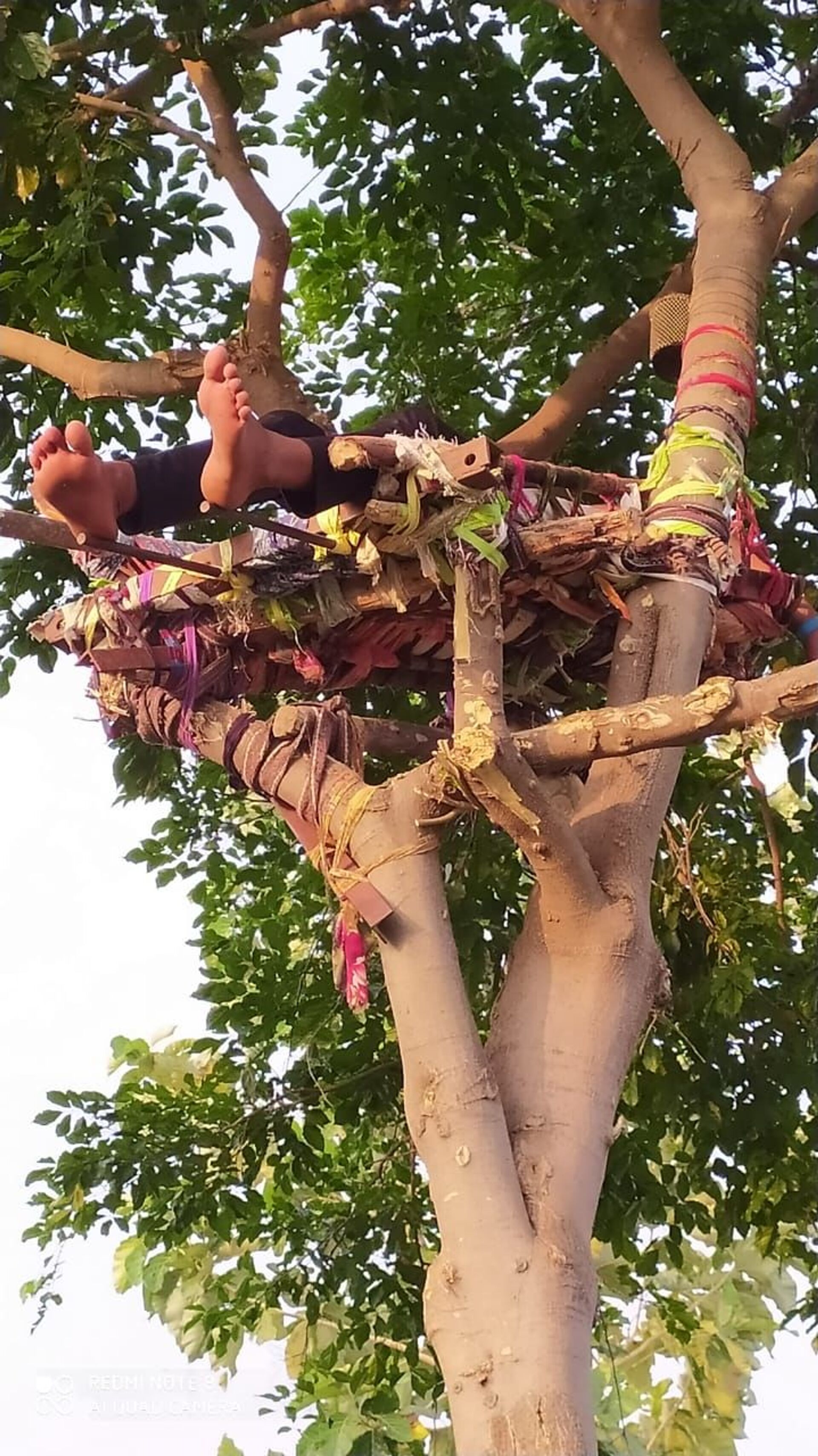 Man Builds Isolation Bed in Tree in Remote Indian Village as COVID Crisis Rages – Images - Sputnik International, 1920, 18.05.2021