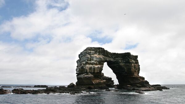 Darwins Arch, Galapagos - Sputnik International