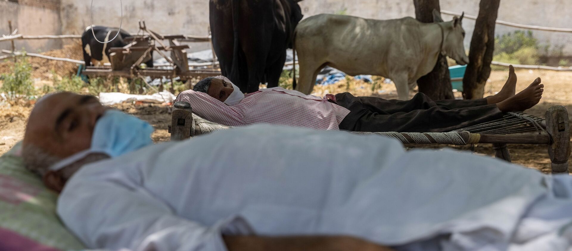 Villagers with breathing difficulties rest in cots as they receive treatment at a makeshift open-air clinic, amidst the spread of the coronavirus disease (COVID-19), in Mewla Gopalgarh village in Jewar district in the northern state of Uttar Pradesh, India, May 16, 2021 - Sputnik International, 1920