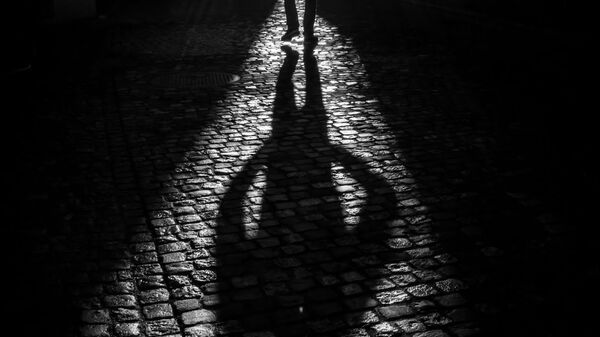 Shadow on the street - Sputnik International