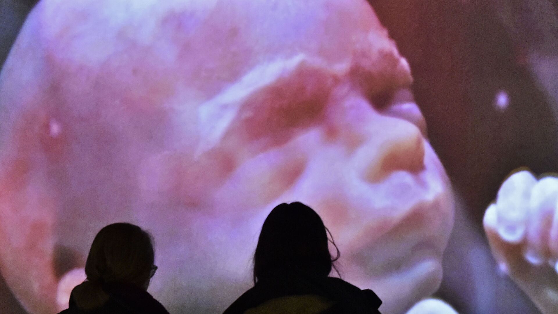 Two women watching a video installation showing a human embryo at the new exhibition wonders of nature at the Gasometer in Oberhausen, Germany, Saturday, March 12, 2016 - Sputnik International, 1920, 10.09.2021