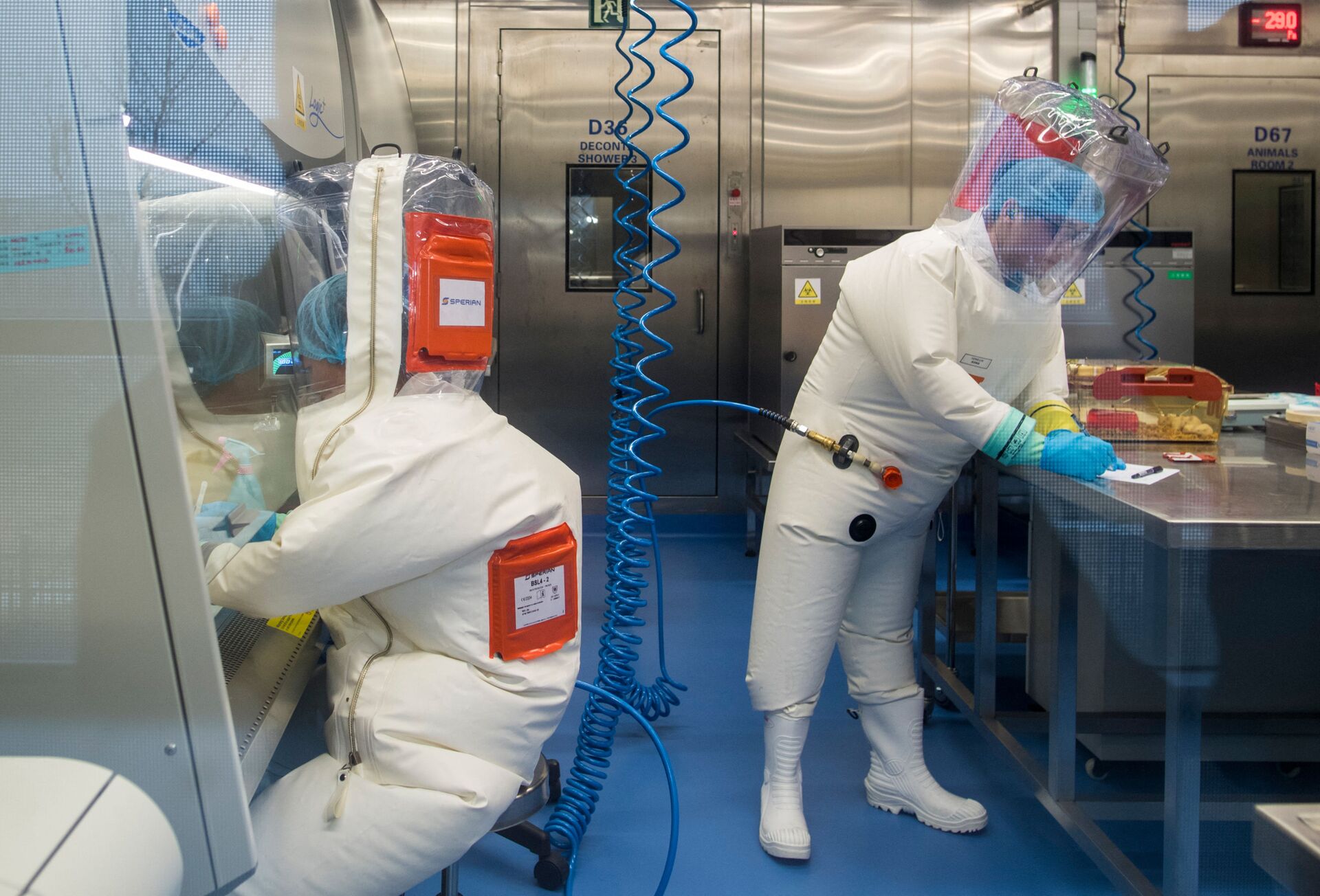 Workers are seen next to a cage with mice (R) inside the P4 laboratory in Wuhan, capital of China's Hubei province, on February 23, 2017 - Sputnik International, 1920, 07.09.2021