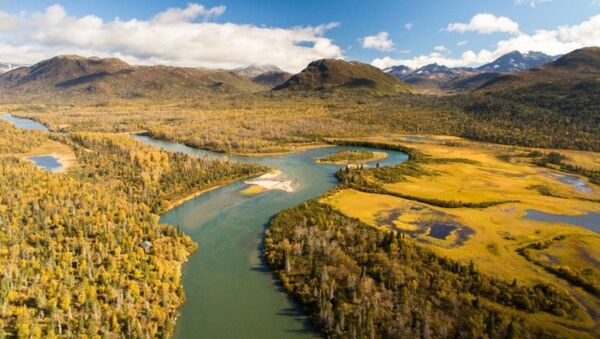 Iliamna River in Autumn - Sputnik International