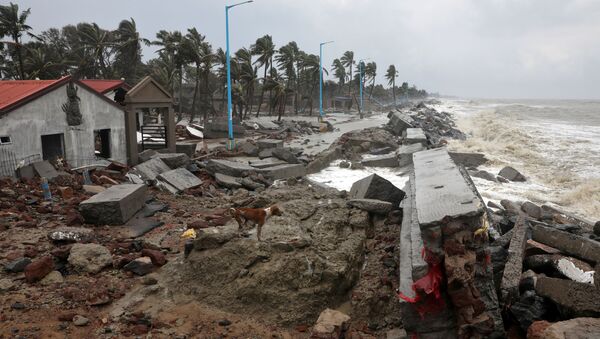 A dog walks on the debris of the damaged tourist lodges along a beach front following Cyclone Yaas in Shankarpur, Purba Medinipur district in the eastern state of West Bengal, India, May 27, 2021 - Sputnik International