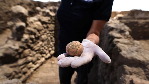 An Isreali archaeologist displays an almost fully-intact 1,000-year-old chicken egg, recently discovered during excavations in the central town of Yavne, on June 9, 2021. - Sputnik International
