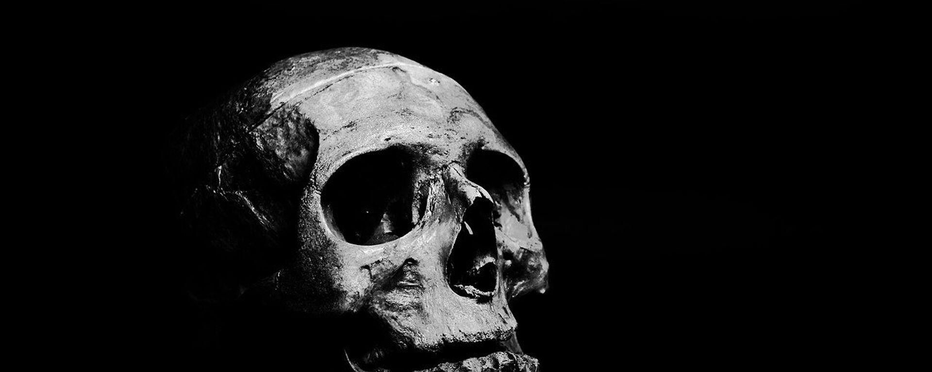 Skull on grayscale - Sputnik International, 1920, 25.08.2021