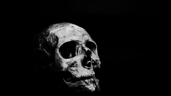 Skull on grayscale - Sputnik International