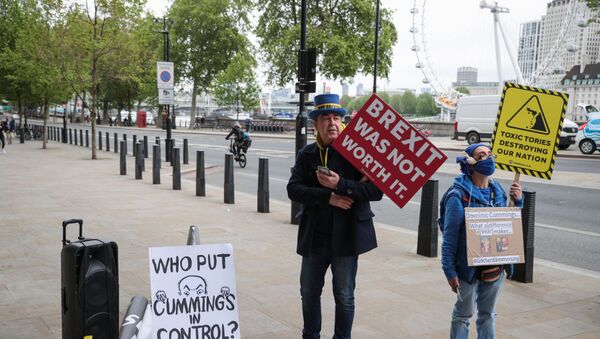 Anti-Brexit protesters demonstrate in Westminster - Sputnik International