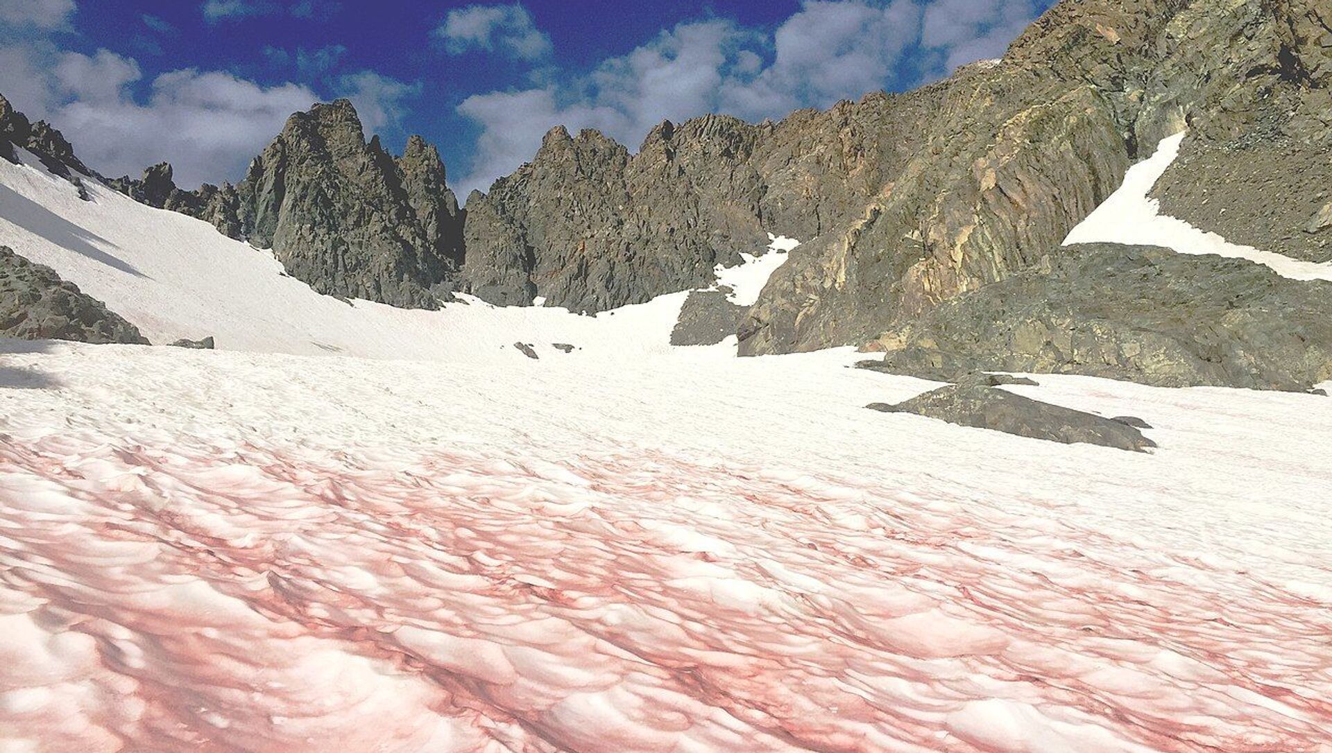 Watermelon snow, also called snow algae, pink snow, red snow, or blood snow - Sputnik International, 1920, 15.06.2021