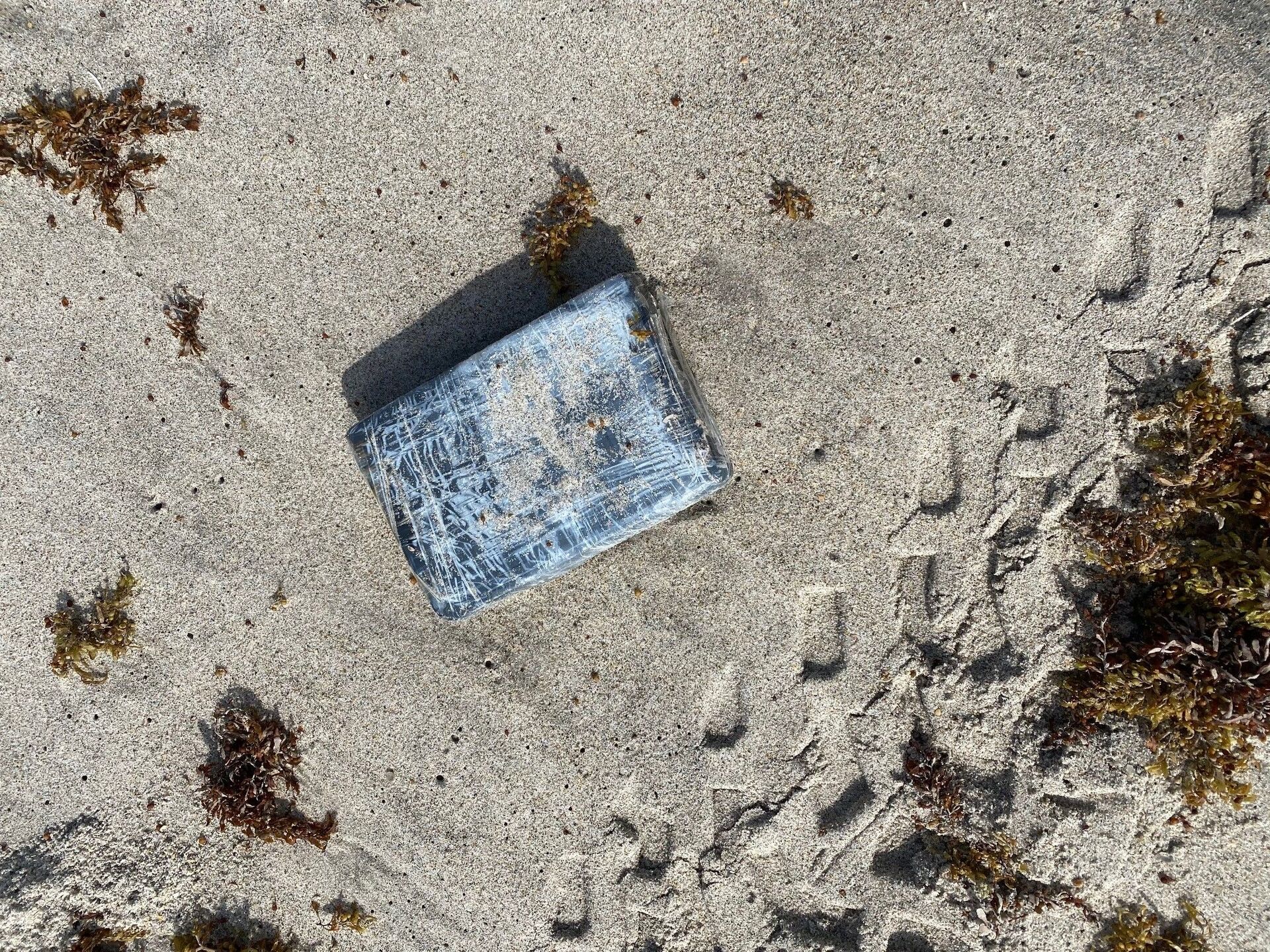 Photos: US Seizes $1.2 Million Worth of Cocaine on Florida Beach Amid Sea Turtle Survey - Sputnik International, 1920, 16.06.2021