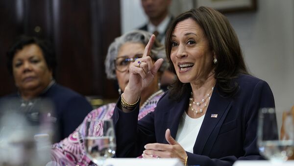 Vice President Kamala Harris speaks during a meeting with members of the Texas State Senate and Texas House of Representatives in the Roosevelt Room of the White House in Washington, Wednesday, June 16, 2021 - Sputnik International