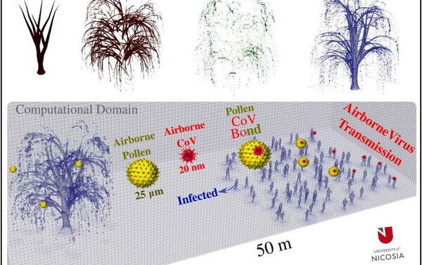 Top: computational modeling of a willow tree showing the trunk, stems, leaves, and the 3D tree model. Bottom: computational domain (50×20×20 m3) that includes the tree model and a crowd of people (97 individual including some infected persons) illustrating the potential of airborne virus transmission through a pollen-CoV bond potential. The crowd's boundary is positioned at a distance of 20 m away from the tree's boundary. The clustering of people in the crowd respects, in general, the minimum social distance of 2 m. - Sputnik International