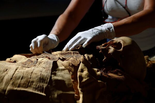3,000-Year-Old Mystery: Secrets of Egyptian Mummy to Be Revealed - Sputnik International