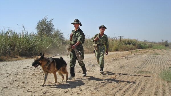 The Tajik-Afghan border, the area patrolling by the Pyandzhsky border guard detachment - Sputnik International