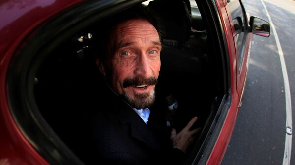 Software pioneer John McAfee is escorted by immigration officers to the Guatemalan Airport in Guatemala City December 12, 2012.  - Sputnik International