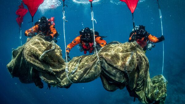 Back to Nature: Divers Clean Remains of Fish Farm on Ulysses' Island Of Ithaca, Greece - Sputnik International