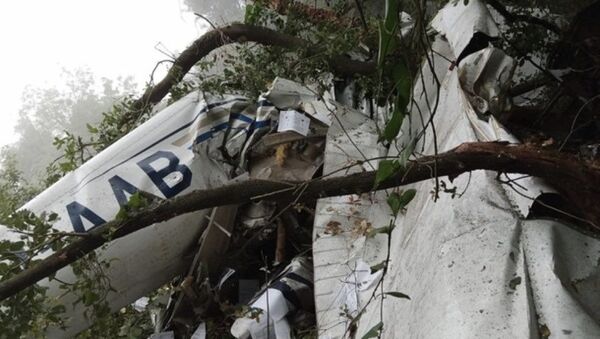 Training Aircraft Crashes in Lebanon - Sputnik International