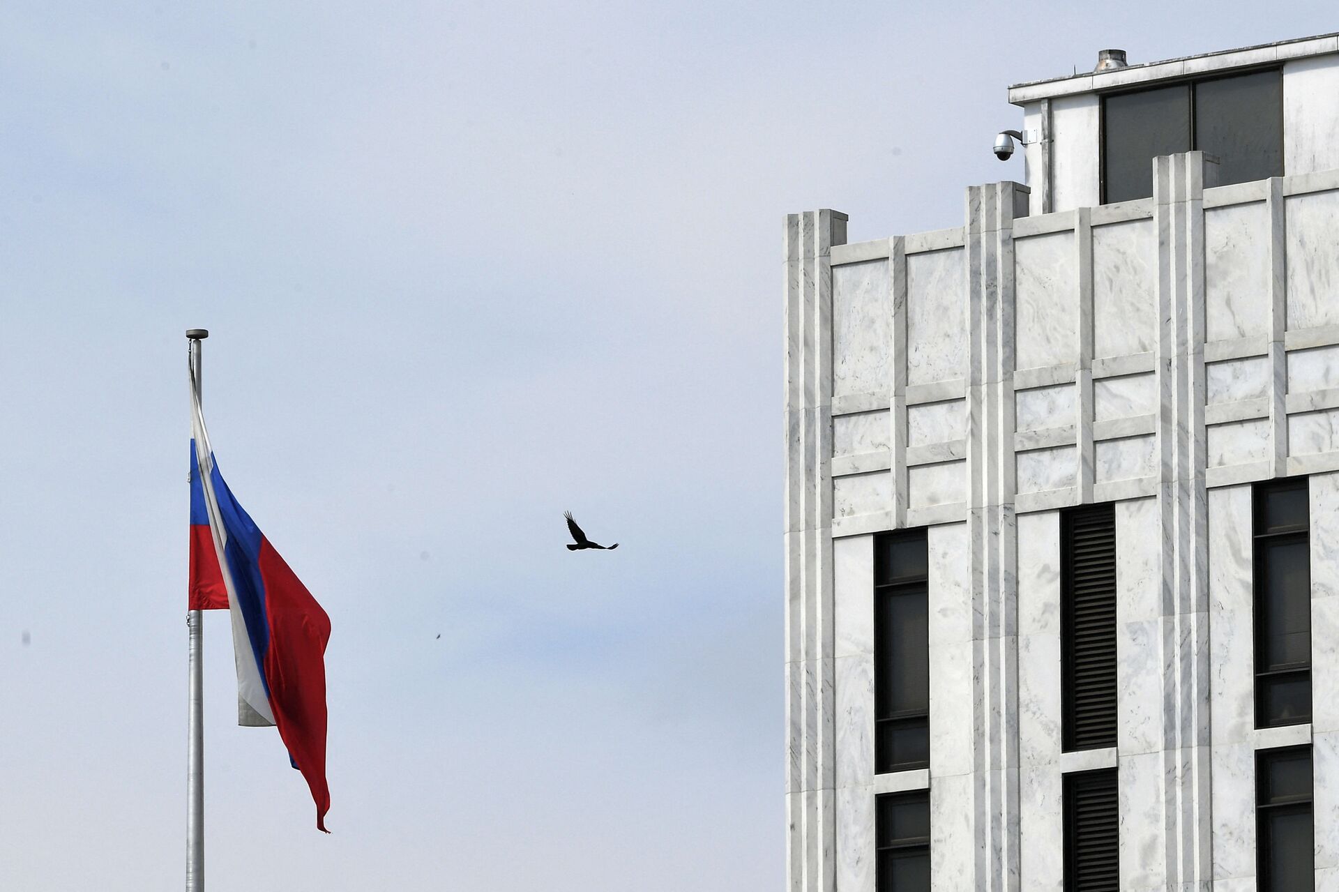 A bird flies past a Russian flag at the Embassy of Russia in Washington, DC on April 15, 2021. - Sputnik International, 1920, 07.09.2021