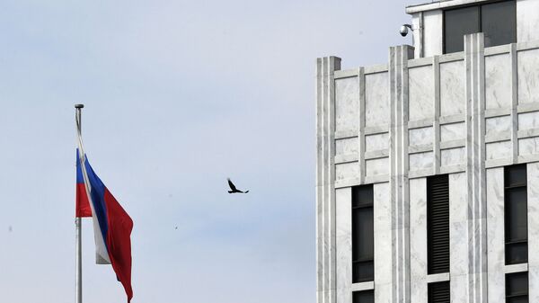 A bird flies past a Russian flag at the Embassy of Russia in Washington, DC on April 15, 2021. - Sputnik International