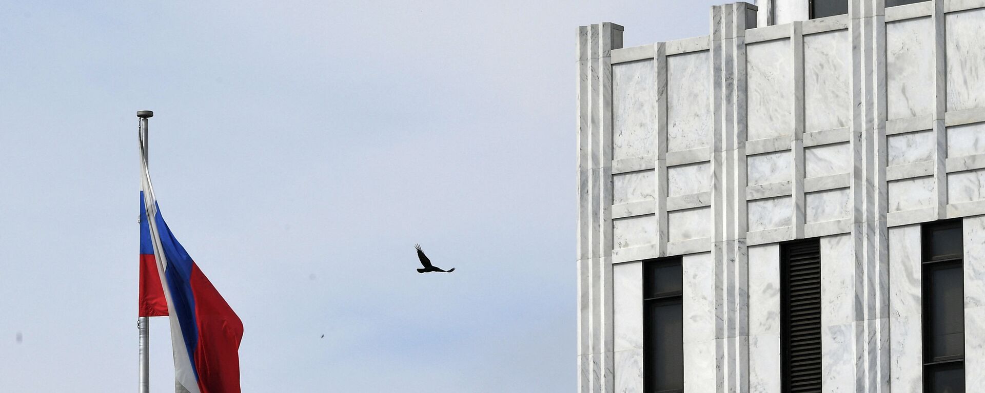 A bird flies past a Russian flag at the Embassy of Russia in Washington, DC on April 15, 2021. - Sputnik International, 1920, 01.10.2022