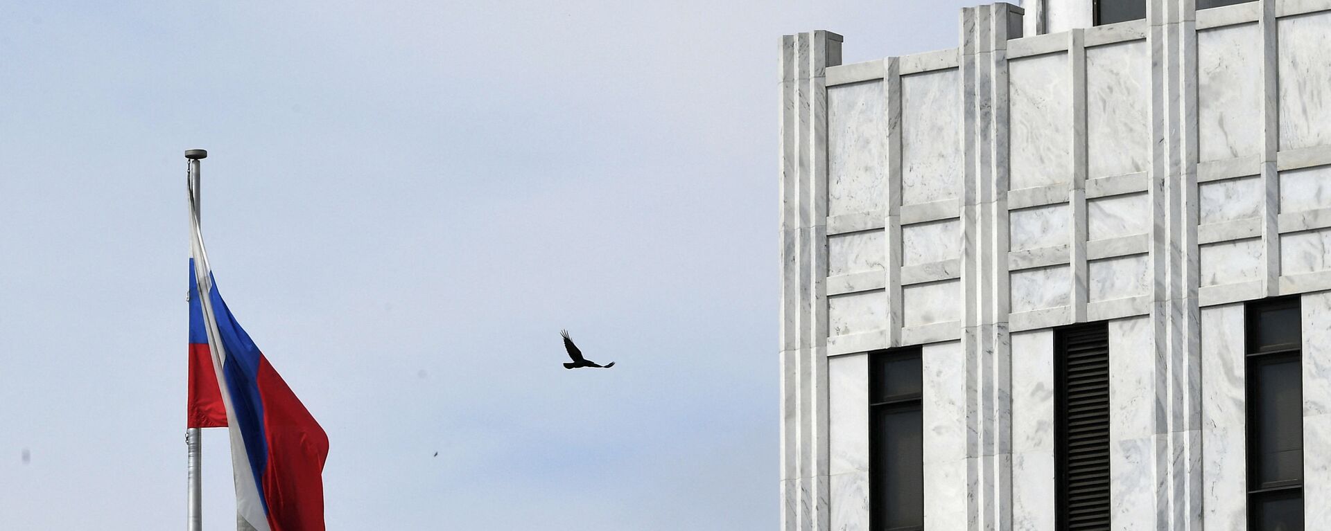 A bird flies past a Russian flag at the Embassy of Russia in Washington, DC on April 15, 2021. - Sputnik International, 1920, 15.03.2023