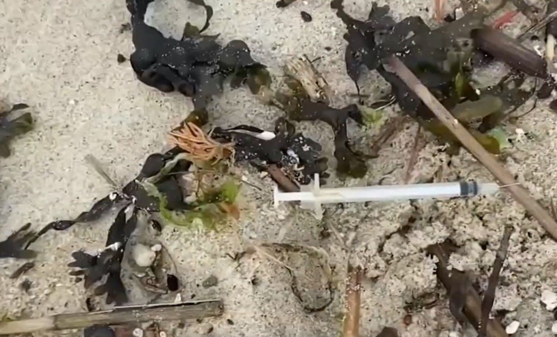 Screenshot captures one of dozens of syringes that have washed ashore along the New Jersey coastline after intense storms have overflowed the local sewer systems. - Sputnik International, 1920, 07.09.2021