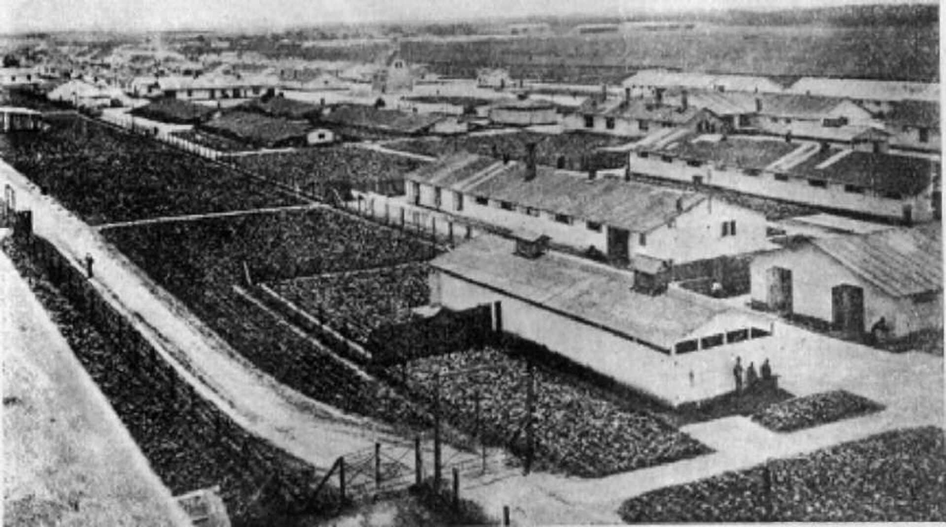 Thalerhof internment camp - Sputnik International, 1920, 07.09.2021