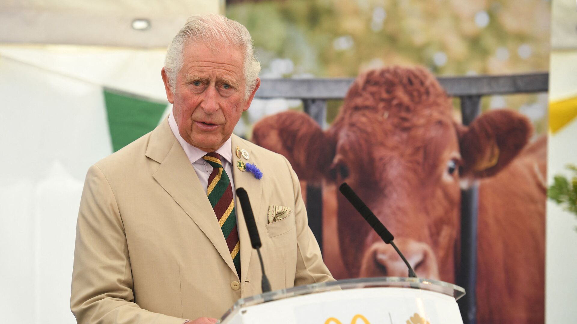Britain's Prince Charles, Prince of Wales makes a speech during his visit to the Great Yorkshire Show in Harrogate, northern England on July 15, 2021. - Sputnik International, 1920, 11.10.2021