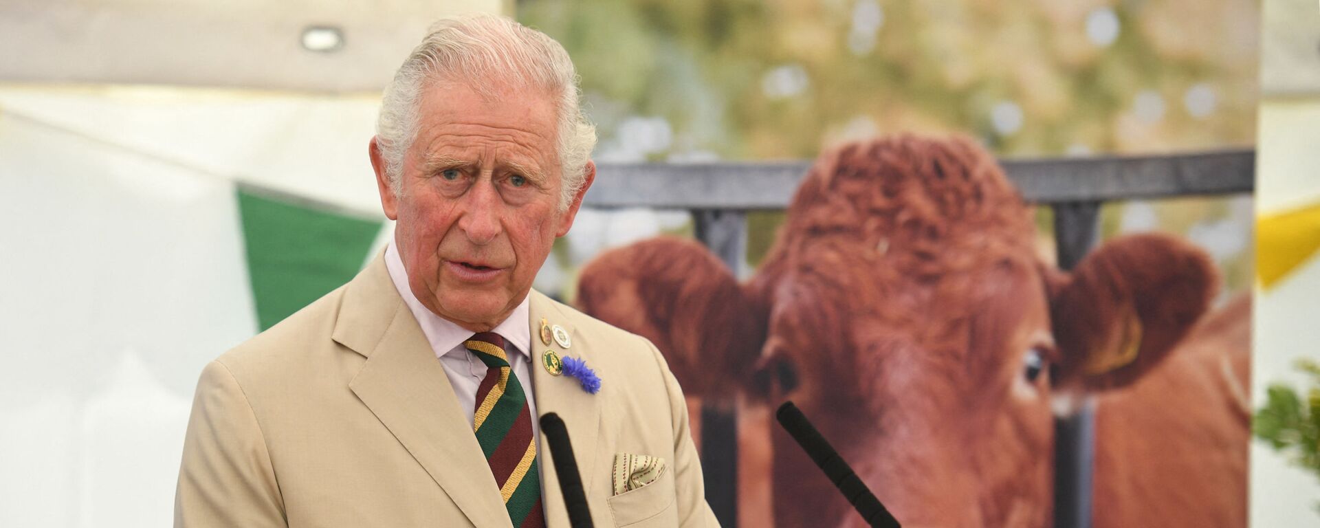 Britain's Prince Charles, Prince of Wales makes a speech during his visit to the Great Yorkshire Show in Harrogate, northern England on July 15, 2021. - Sputnik International, 1920, 06.04.2022