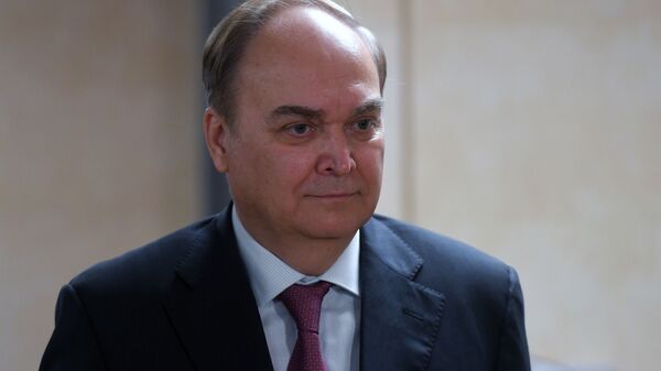 Ambassador Extraordinary and Plenipotentiary of the Russian Federation to the United States of America Anatoly Antonov during a briefing at the State Duma of the Russian Federation in Moscow. - Sputnik International