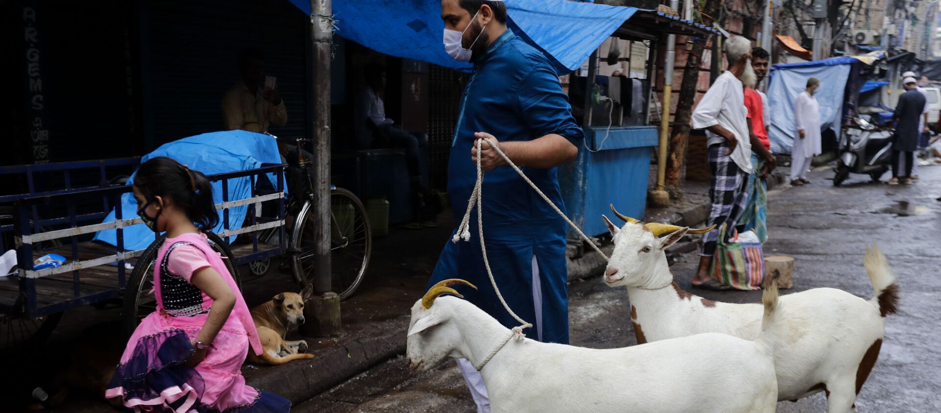 A Muslim walks with goats for sacrifice during Eid al-Adha festival in Kolkata, India, Wednesday, July 21, 2021 - Sputnik International, 1920