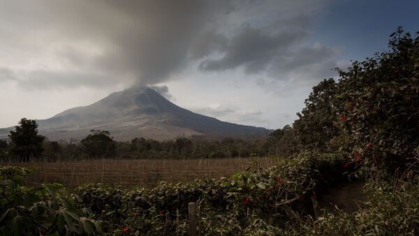 A field in the background of the Mount Sinabung Eruption. Medan, Indonesia, 29 Jan 2014 - Sputnik International