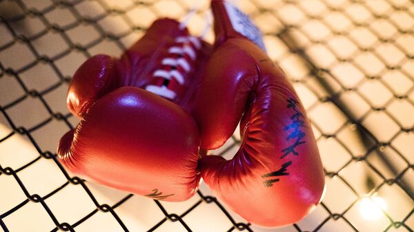 Boxing gloves - Sputnik International