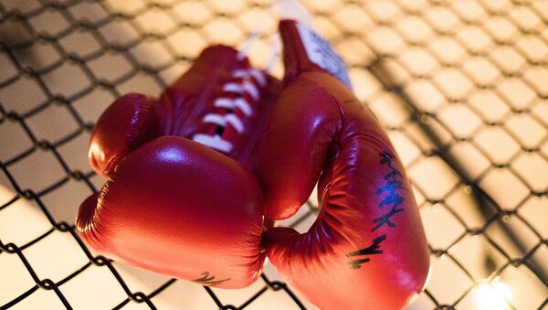Boxing gloves - Sputnik International