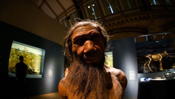 Neanderthal. Britain: One Million Years of the Human Story at the Natural History Museum - Sputnik International