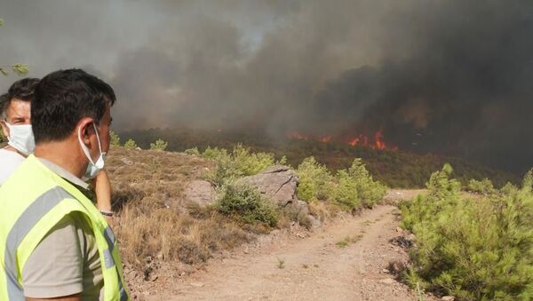 Wildfires raging near the town of Bodrum, Turkey - Sputnik International