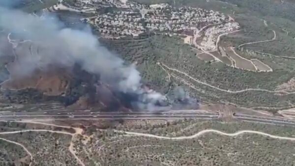 Wildfires near Jerusalem - Sputnik International
