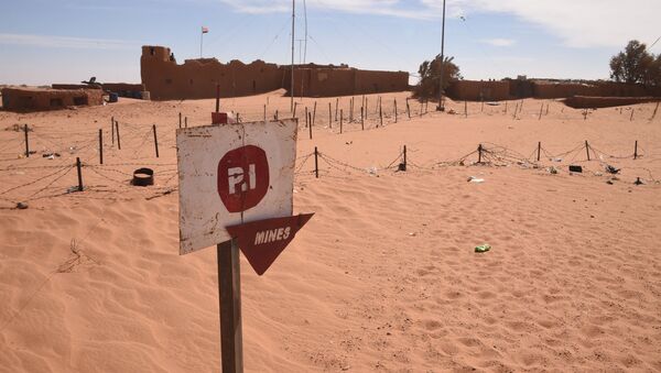 A picture taken in Madama near the border with Lybia on January 1, 2015 shows a board warning against landmines. - Sputnik International