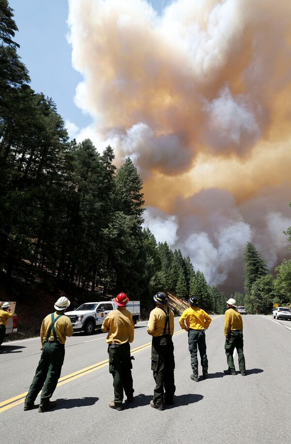 Firefighters watch plumes of smoke from wind-driven fires that closed Highway 89 temporarily due to the Dixie Fire, a wildfire near the town of Greenville, California on 5 August 2021. - Sputnik International