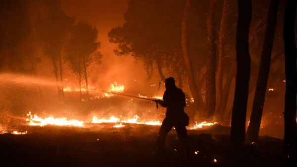 A firefighter battles a wildfire burning in the suburb of Thrakomakedones, north of Athens, Greece, on 7 August 2021. - Sputnik International