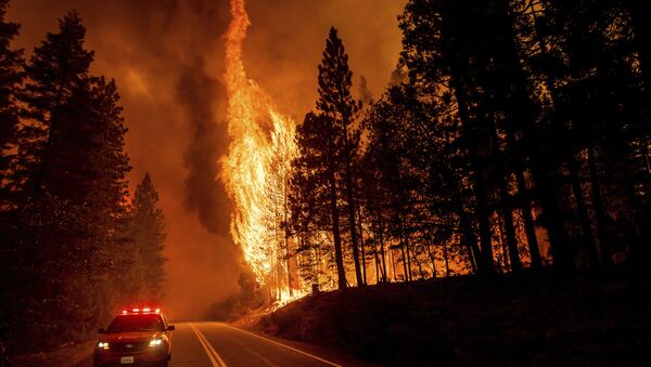 Flames leap from trees as the Dixie Fire jumps Highway 89 north of Greenville in Plumas County, Calif., on Tuesday, Aug. 3, 2021. Dry and windy conditions have led to increased fire activity as firefighters battle the blaze which ignited July 14. - Sputnik International