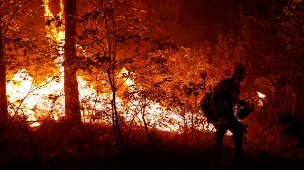 U.S. Forest Service firefighter Ben Foley lights backfires to slow the spread of the Dixie Fire, a wildfire near the town of Greenville, California, U.S. August 6, 2021. - Sputnik International